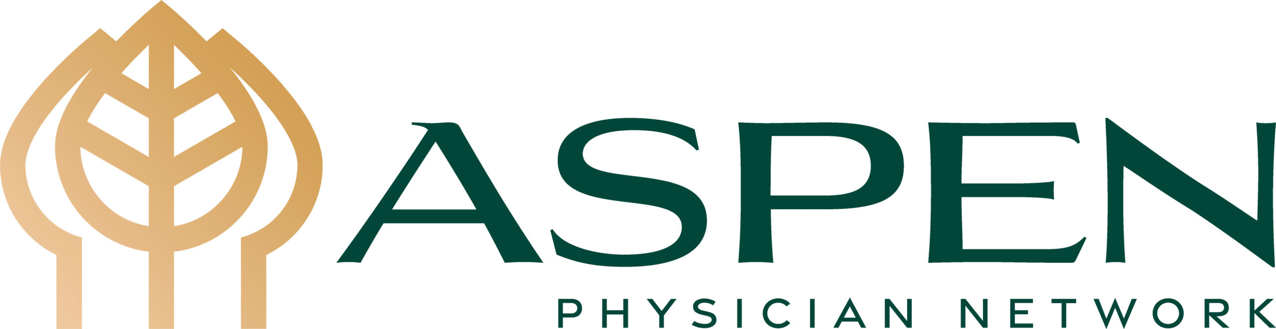 Aspen Physician Network Logo
